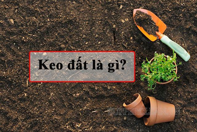 Keo đất là gì? Có mấy loại keo đất? Keo đất có cấu tạo như thế nào?