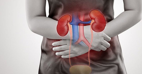 Khi thận suy hỏng, cơ thể sẽ có 3 bất thường lúc tiểu tiện: Có 1 cũng cần đi khám ngay trước khi quá muộn