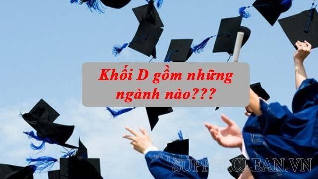 Khối D gồm những ngành nào? Các trường đại học khối D