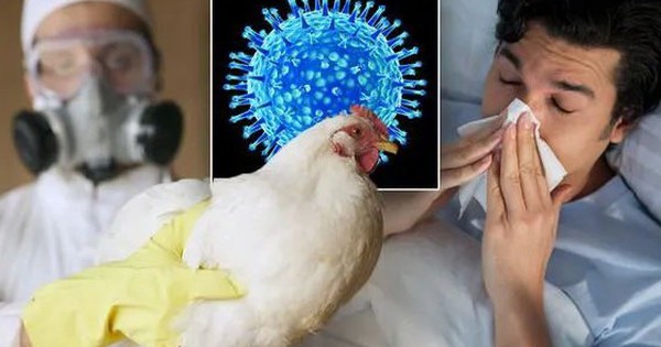 Làm sao để phân biệt cúm A/H5N1, cúm mùa và COVID-19?