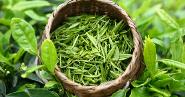 Loại nước được ví như ‘thần dược’ giúp chống lão hoá và kéo dài tuổi thọ, rẻ như cho ở chơ Việt, nên tận dụng ngay hôm nay!