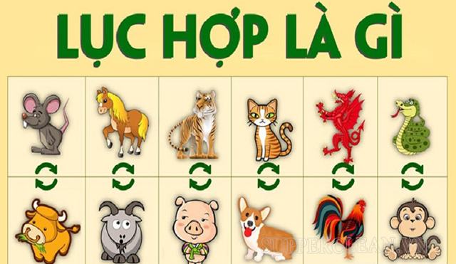 Lục hợp là gì? Tổng hợp các tuổi lục hợp trong 12 con giáp?