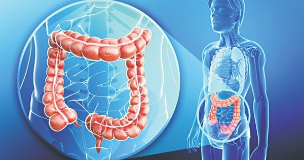 Mách bạn cách hỗ trợ cải thiện các biểu hiện đại tràng co thắt