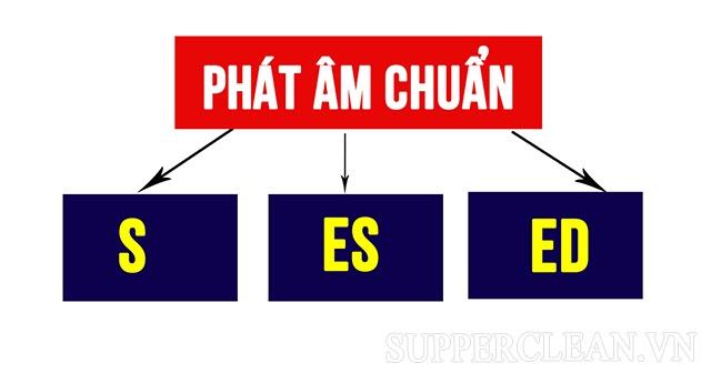 [Mẹo] cách phát âm ed, es và s trong tiếng anh đơn giản, dễ nhớ