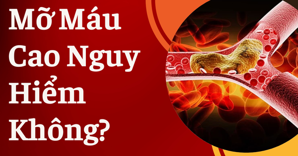 Mỡ máu cao tàn phá cơ thể như thế nào? Đây là 3 nhóm người có nguy cơ cao mắc bệnh mỡ máu!