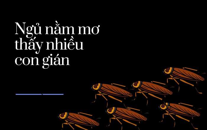 Nằm mơ thấy gián có ý nghĩa gì?