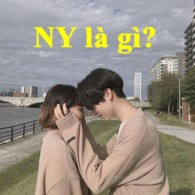 NY là gì? ý nghĩa của “NY” trong tiếng anh và tiếng việt