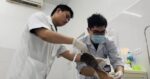 Nam thợ điện thoát chết sau khi bị điện giật cháy đen bàn tay