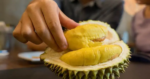 Người bệnh tiểu đường nếu thích ăn sầu riêng nhất định phải biết điều này để ổn định đường huyết
