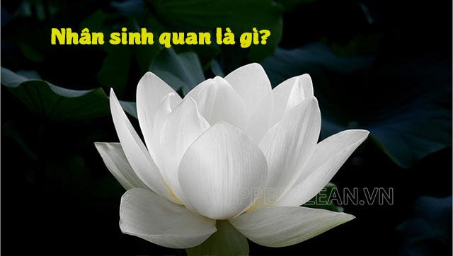 Nhân sinh quan là gì? Quan niệm nhân sinh, thế giới quan là gì?