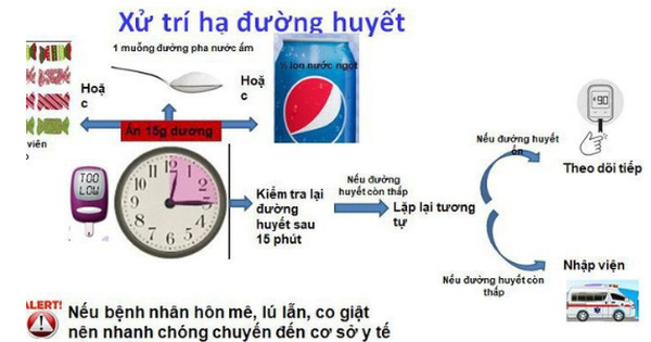 Phòng hạ đường huyết cho người đái tháo đường trong ngày Tết