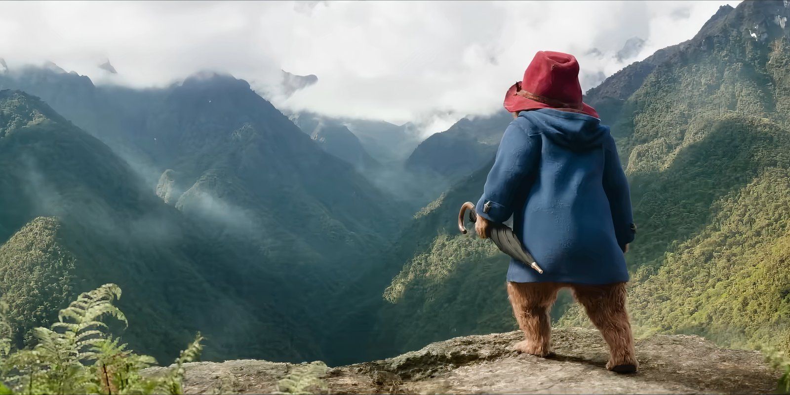 Paddington: Gấu Thủ Chu Du đến Peru, băng rừng và khám phá di tích cổ