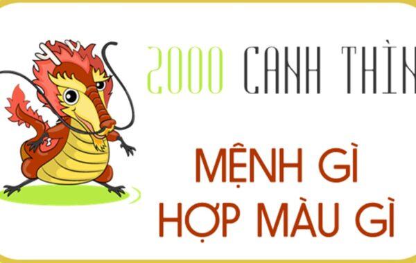 Sinh năm 2000 mệnh gì? Tuổi con gì? Hợp màu gì? Hợp tuổi nào nhất?