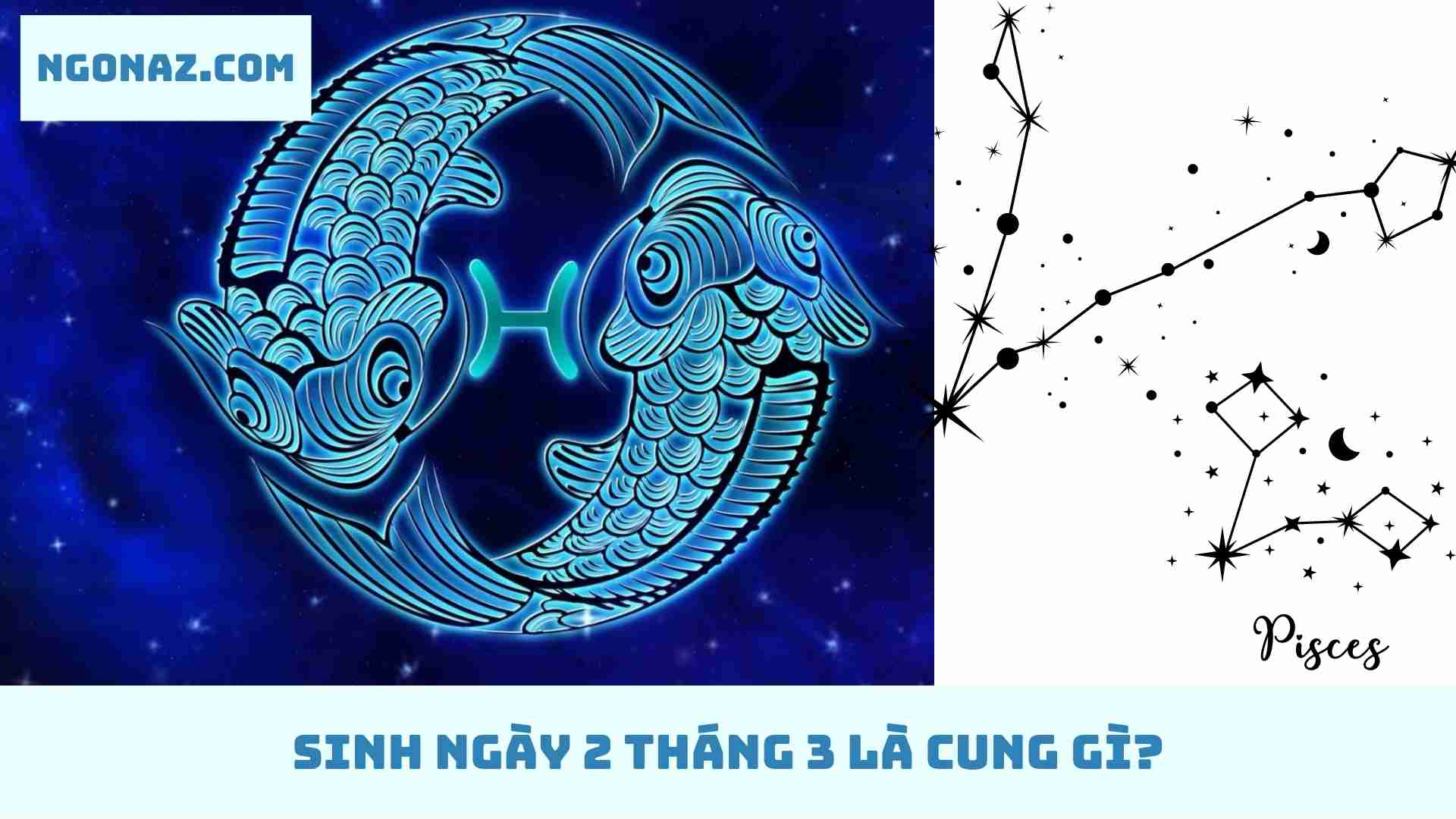 Sinh ngày 2 tháng 3 thuộc cung gì?