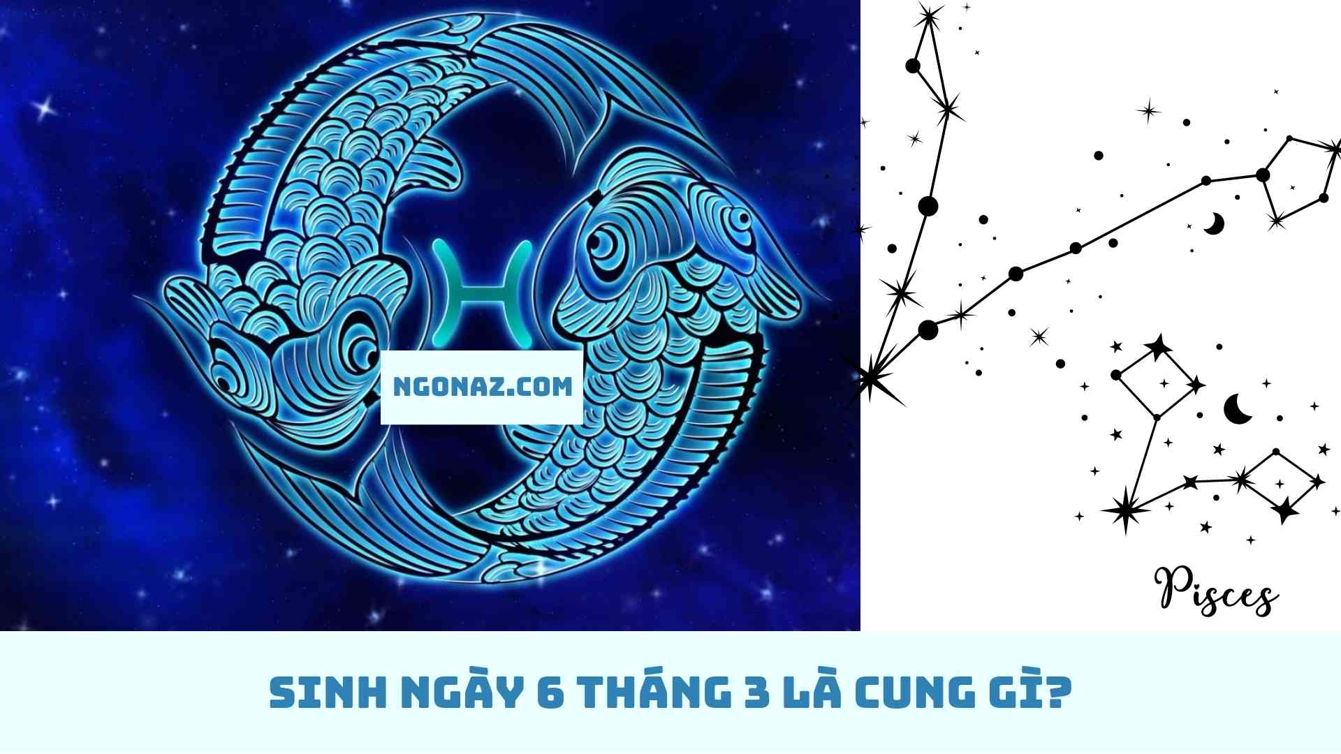 Sinh ngày 6 tháng 3 thuộc cung gì?