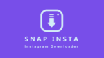 SnapInsta: The Ultimate Solution for Effortless Instagram Content Downloading