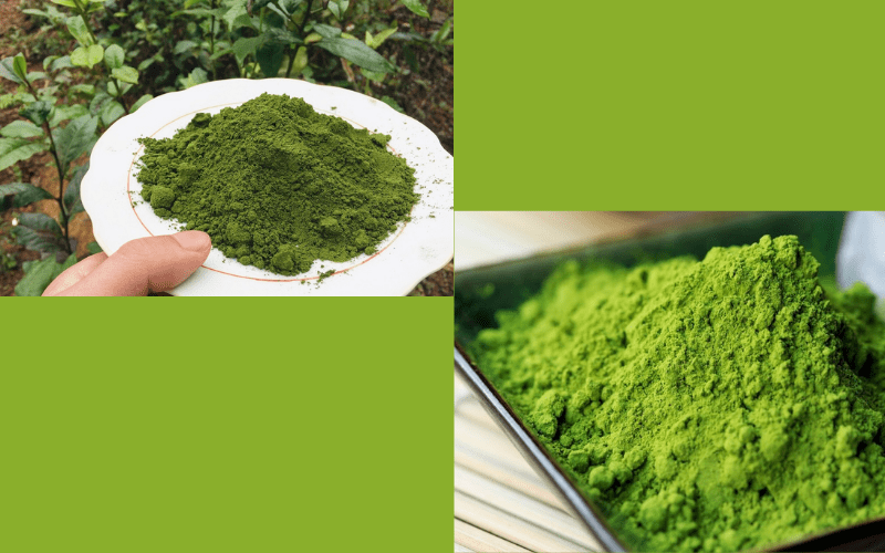 Sự khác biệt giữa bột trà xanh và bột matcha