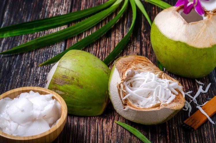 Tác dụng của cùi dừa đối với sức khỏe – Ăn cùi dừa nhiều tốt không?