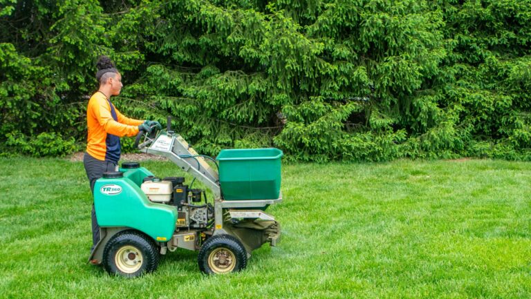 The Importance of Seasonal Lawn Maintenance in Kensington-Bailey for a Healthy Yard