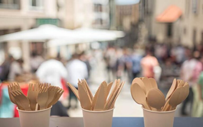 The Ultimate Guide to Biodegradable Disposable Cutlery