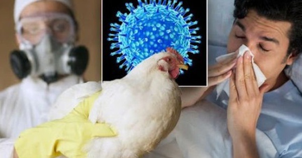 Thông tin mới nhất vụ nam sinh tử vong do cúm A/H5N1, đây có thể là yếu tố dịch tễ lây nhiễm bệnh