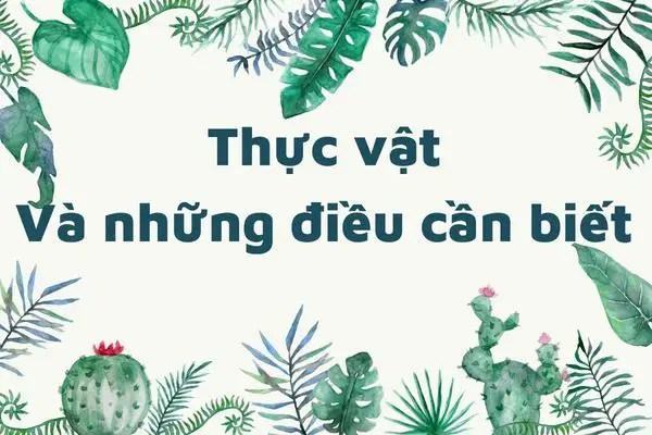 Thực vật là những thứ khác thường trong thế giới thực vật