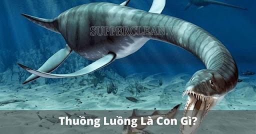 Thuồng luồng là con gì? Con thuồng luồng có thật không?