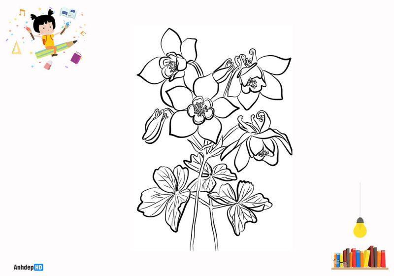 65 Tranh tô màu lọ hoa đẹp nhất dễ tải dễ in Update 2022  Link Tài Liệu  Giáo Dục