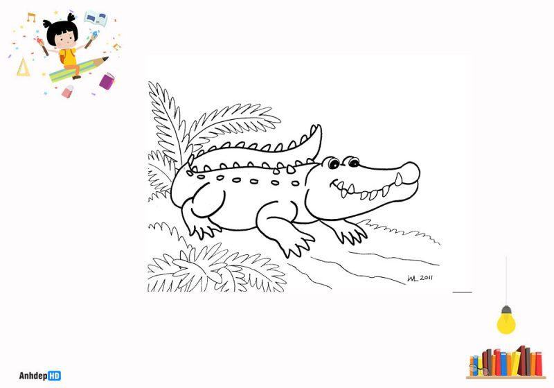 Cập nhật hơn 52 về hình tô màu con cá sấu  Du học Akina