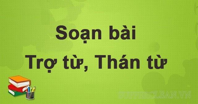 Trợ từ là gì? Các loại trợ từ. Phân biệt trợ từ và thán từ