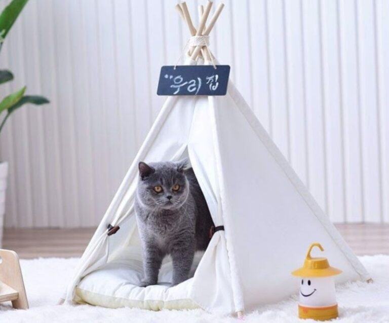 Tự May Lều Ngủ Đáng Yêu Cho Mèo Cưng Siêu Đẹp 2022