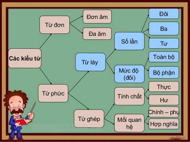 Từ đơn, từ phức là gì? Phân biệt từ đơn & từ phức | Ví dụ