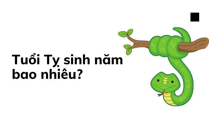 Con rắn sinh năm nào?