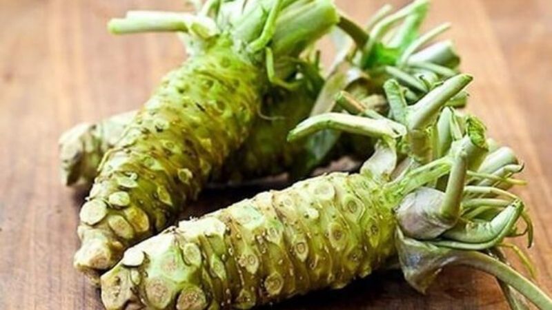 wasabi là gì?  Những lợi ích của việc ăn Wasabi là gì? 