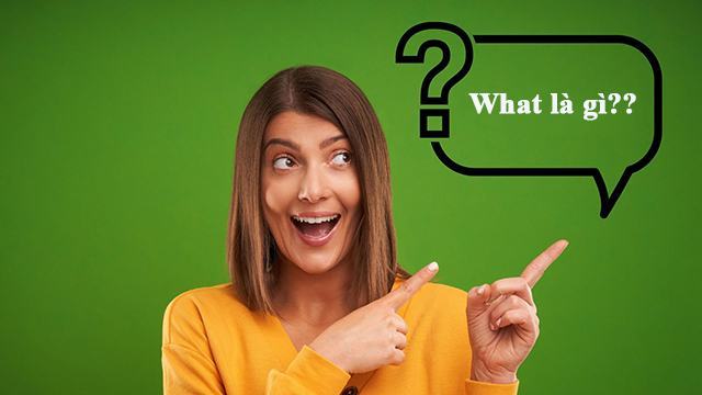 What là gì? What nghĩa tiếng việt là gì? Cách sử dụng