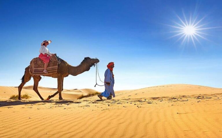 Your Ultimate Guide to Camel Trekking in Morocco